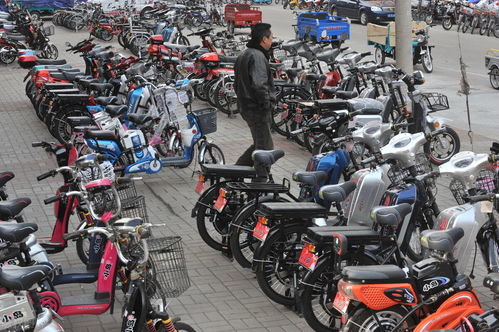 从头部企业半年报看电动自行车选购指南 智能、续航与安全成关键指标