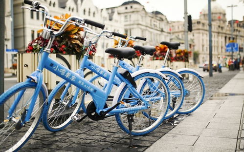 奔驰驶入城市动脉，共享单车留下警示 从高端电动公交到押金困局的出行变局