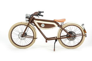 复古电动自行车风靡欧洲 Hey，画说助动自行车的骑行新潮流